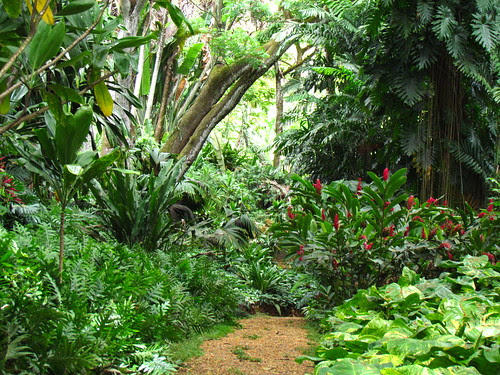 Allerton Garden