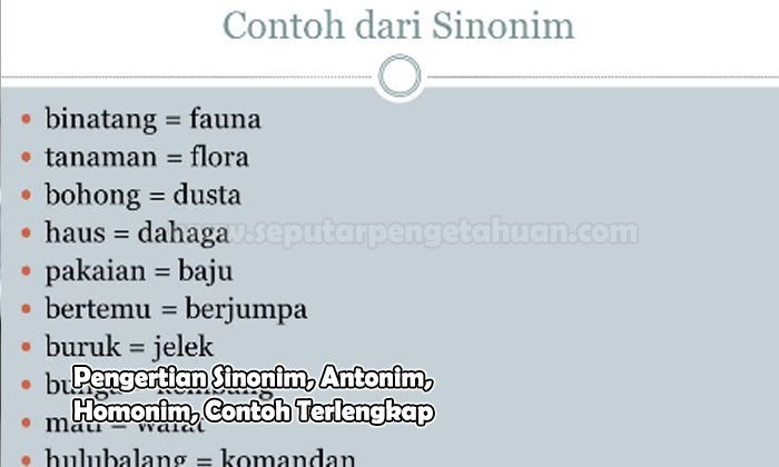 Contoh Kata Antonim Dan Sinonim - Ruang Soal