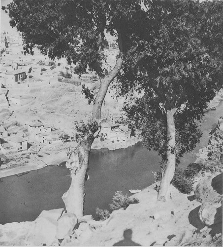 Enromes almeces de la ermita del Valle a principios del siglo XX