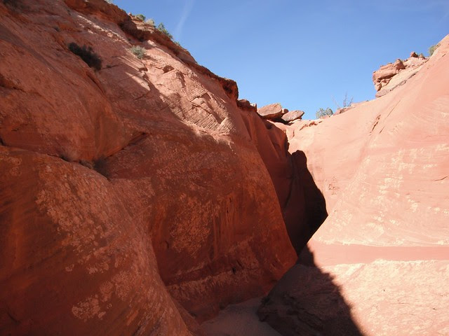 in the main fork