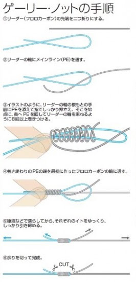 様々な画像 ここへ到着する Pe と Pe 結束
