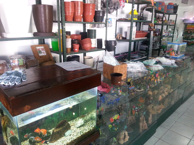 Plantas Peixes & Cia