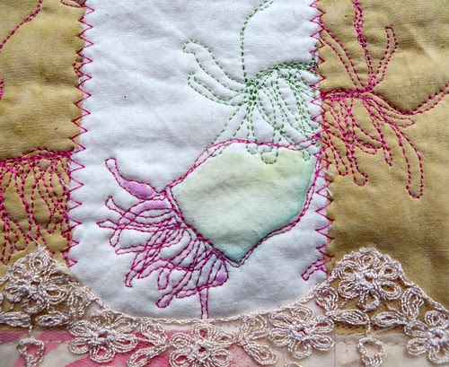 eucalyptus blooms in progress