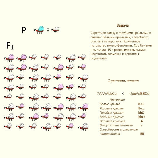 Решение задач по генетике с объяснением и ответами на все типы презентация