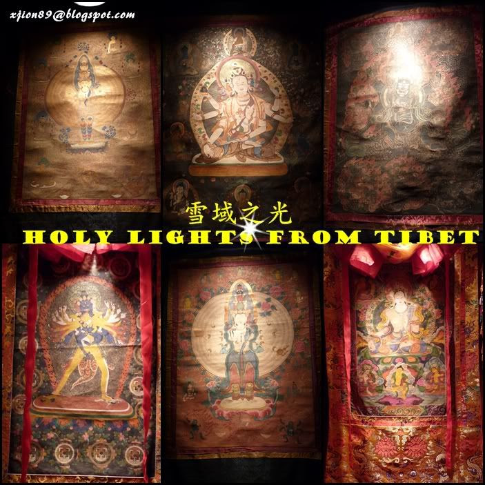 holy light from tibet 雪域之光