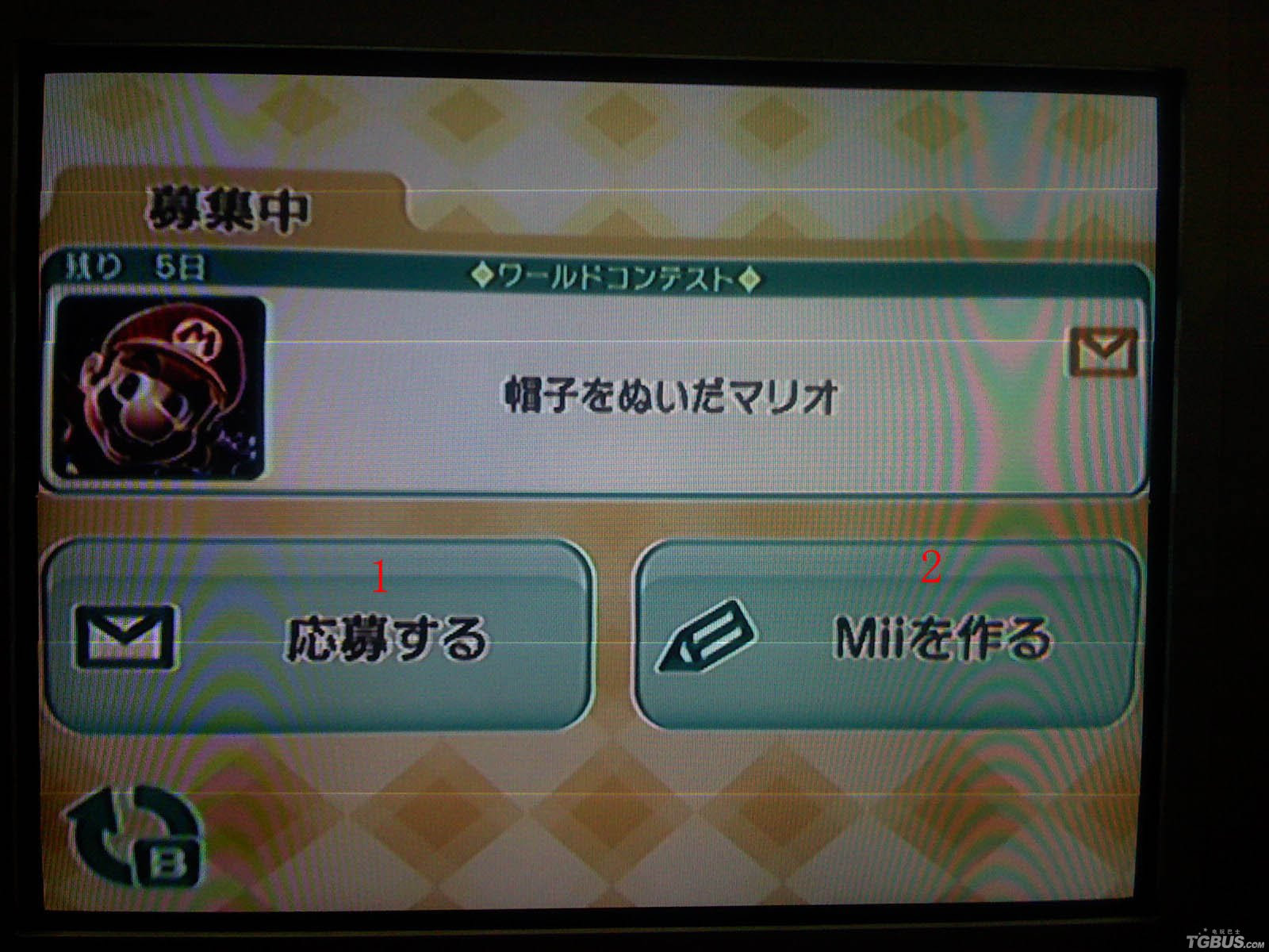 Mii 帽子 イメージポケモンコレクション