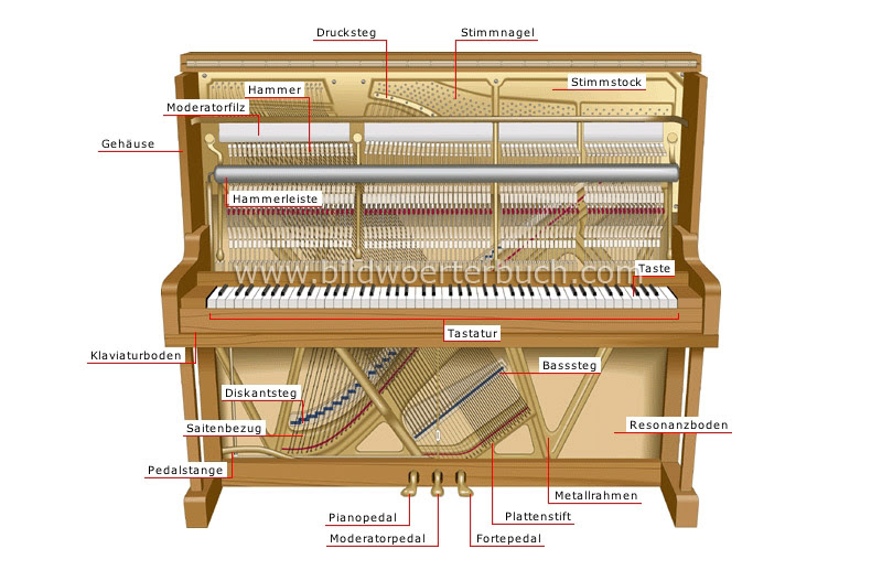 Klvier Weiße Tasten Beschriften - Kinder Piano Keyboard MQ 5407 Klavier