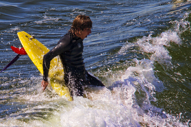 Seal Beach surfer