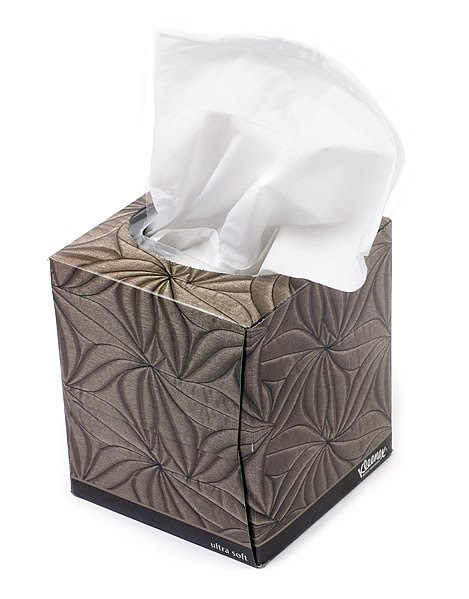 File:Kleenex-small-box.jpg