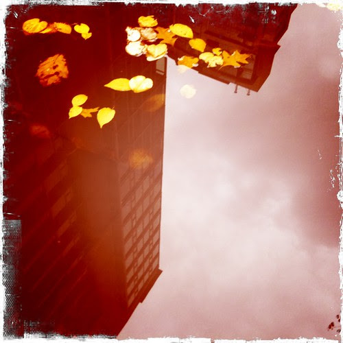 Autumnal Reflections
