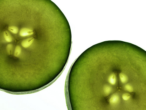 pepino. cathy.scola