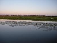 Free Image Hosting at www.ImageShack.us