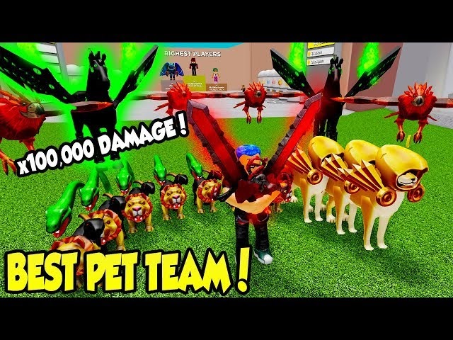 voadores insane