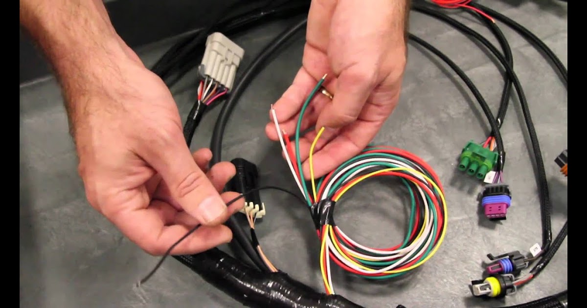 Holley Sniper Efi Electric Fan Wiring Diagram - yadlachim