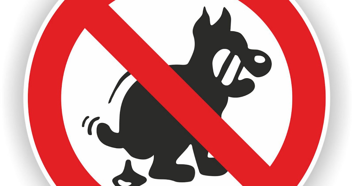 Hunde Verboten Schild Ausdrucken / Hunde Schilder Zum Ausdrucken Kostenlos