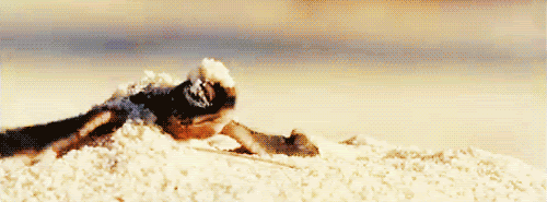 Amusing GIFs That Sum Up Your Daily Life Perfectly