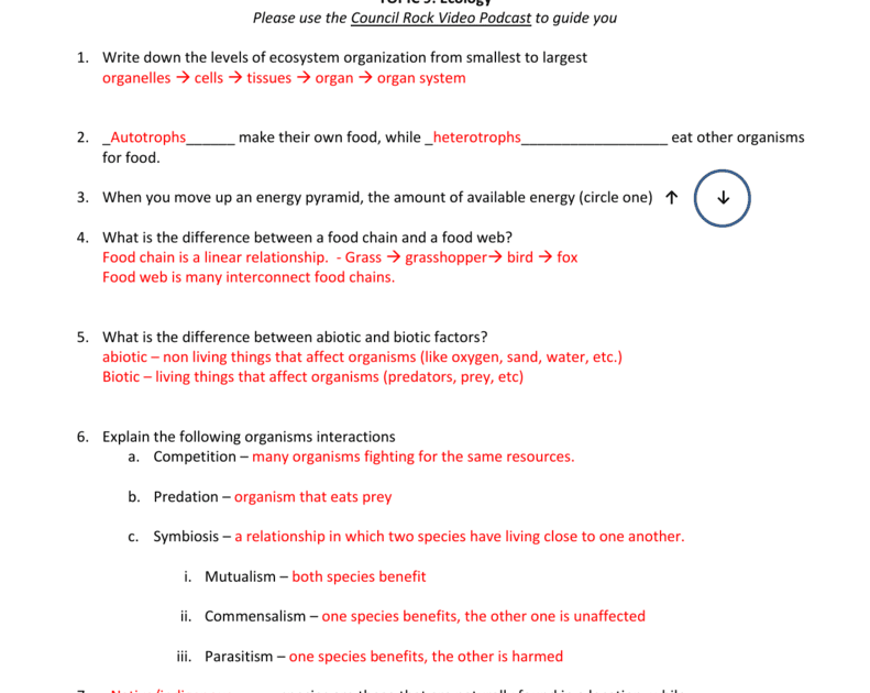 26 Which Symbiosis Is It Worksheet Answers - Worksheet Information