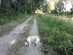 Foto-0011