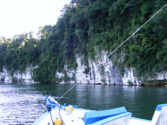 DSCF2502