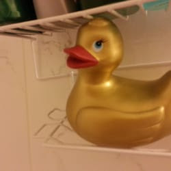Ed's Linens - Kitsilano - Vancouver, BC | Yelp
