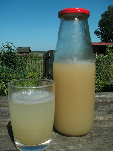 Dorstlesser