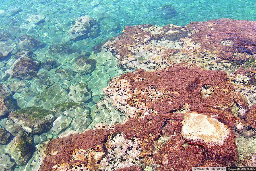 Море, камни, морские ежи (Ретимно, Крит)