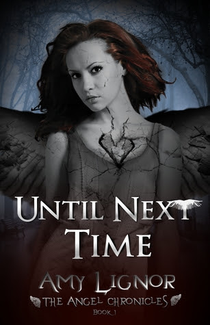 Until Next Time (The Angel Chronicles, #1)