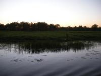 Free Image Hosting at www.ImageShack.us