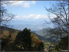 DSC03342
