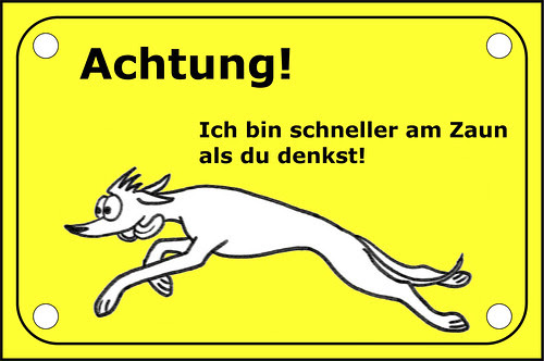 Microsoft Word - Zaunschild Whippet.doc
