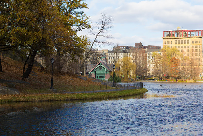 NYC_Winter_Walk_12.jpg