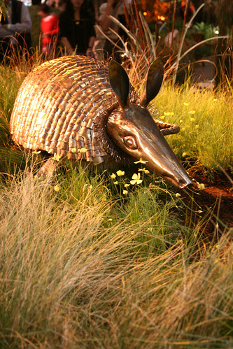 armadillo
