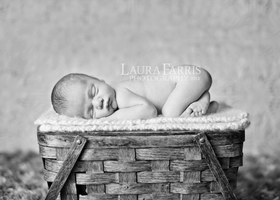 boise newborn baby photographers