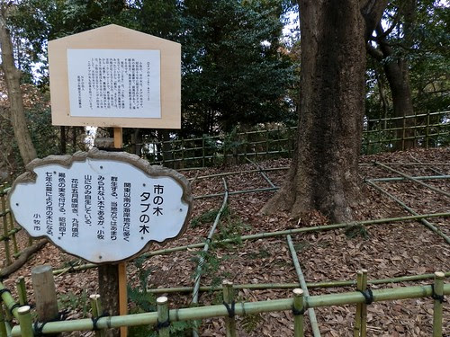 小牧山
