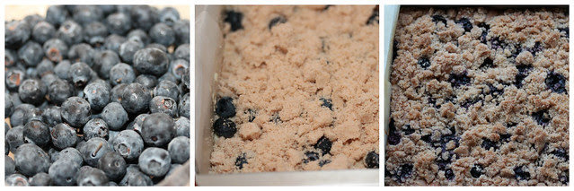 Blueberry Buckle collage