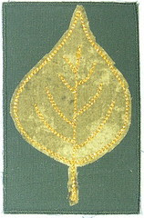 Aspen Leaf