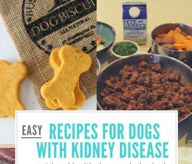 Kidney Disease Diet For Dogs Recipes DIETPROV