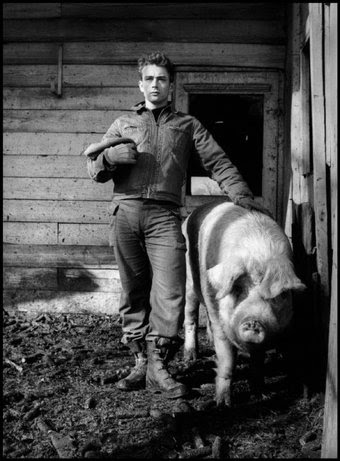 FAIRMOUNT, Ind.—James Dean on the farm of his uncle Marcus Winslow, posing with a pig and asking himself, "Do I belong to the animals, to the pigs, the cattle, or the goats?" 1955. © Dennis Stock / Magnum Photos