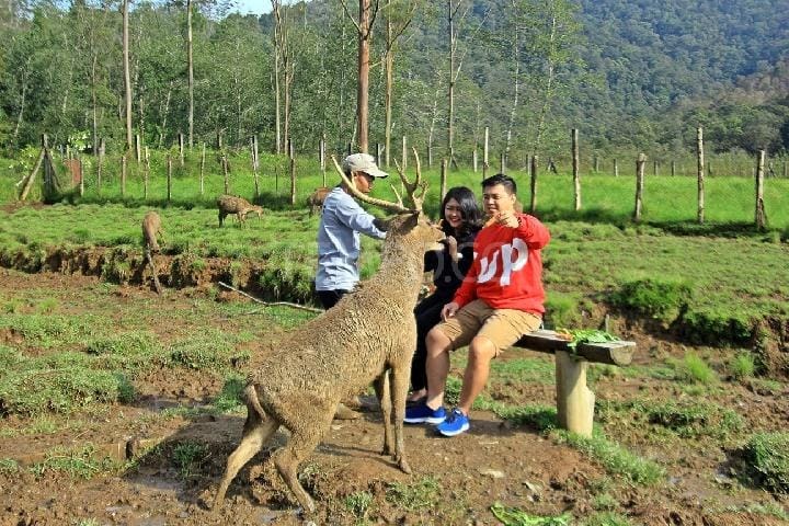 Tempat Yang Bagus Untuk Foto Prewedding Di Tangerang ...