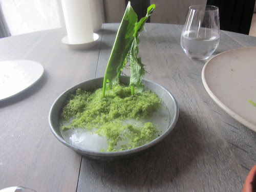 Sorrel Leaf and Cricket Paste (inside the leaf) with Nasturium