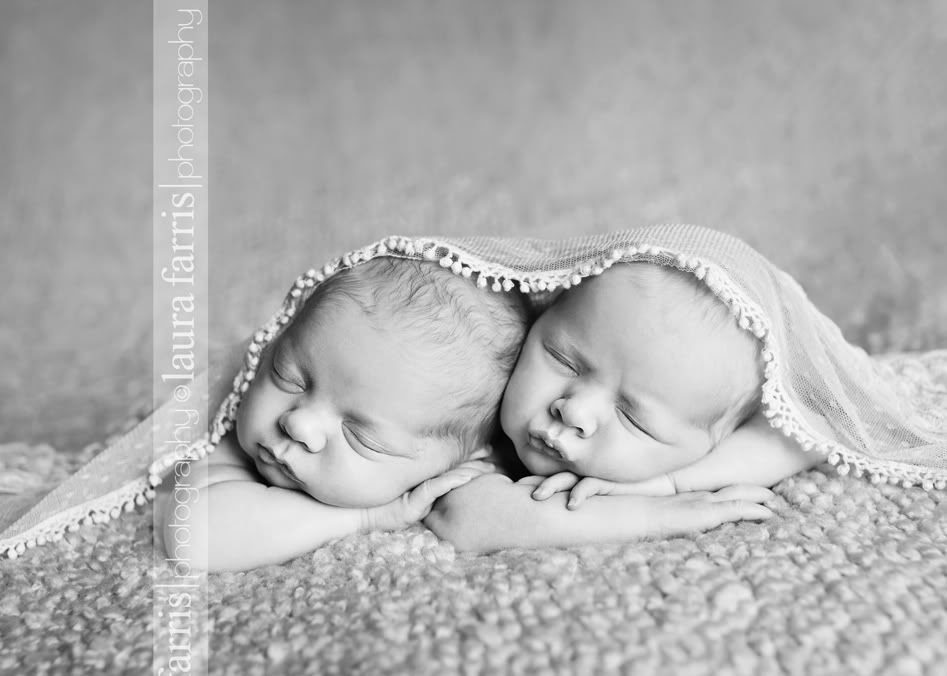 boise newborn photographer