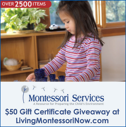 Montessori Services $50 Gift Certificate Giveaway