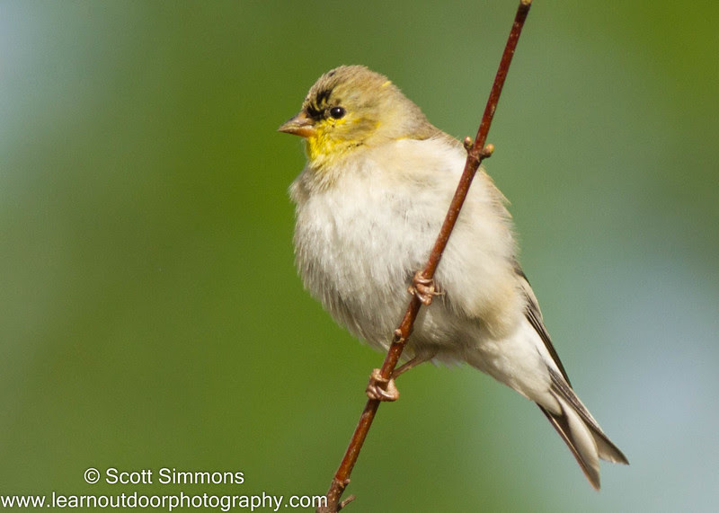 Photo & Video Sharing by SmugMug Photo & Video Sharing by SmugMug