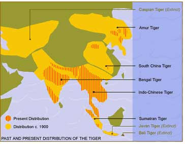 South China Tiger Map