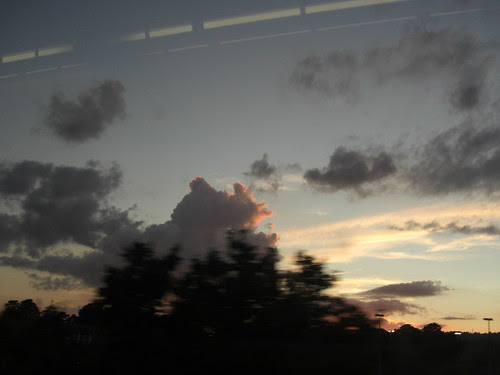 Cloud-bush5