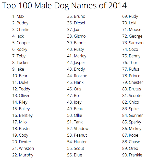 Pet Names That Start With S - RTELEY