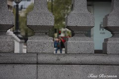 IMG_3713