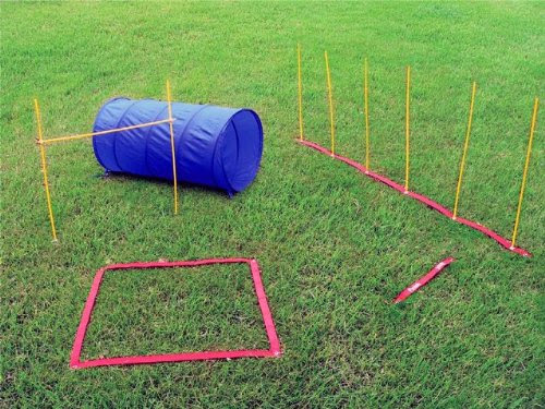 kit starter dog agility jump pole tunnel kyjen obstacles weave desde guardado schnauzer