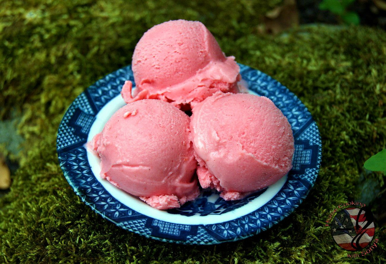 18.6, Homemade Strawberry Frozen Yogurt