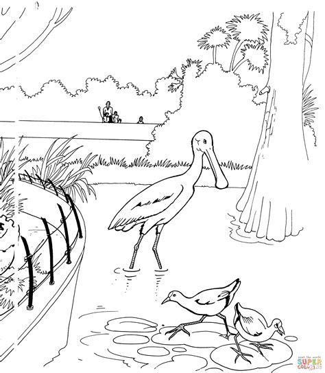 Nocturnal Animals Printable Coloring Pages | Coloring Page ...